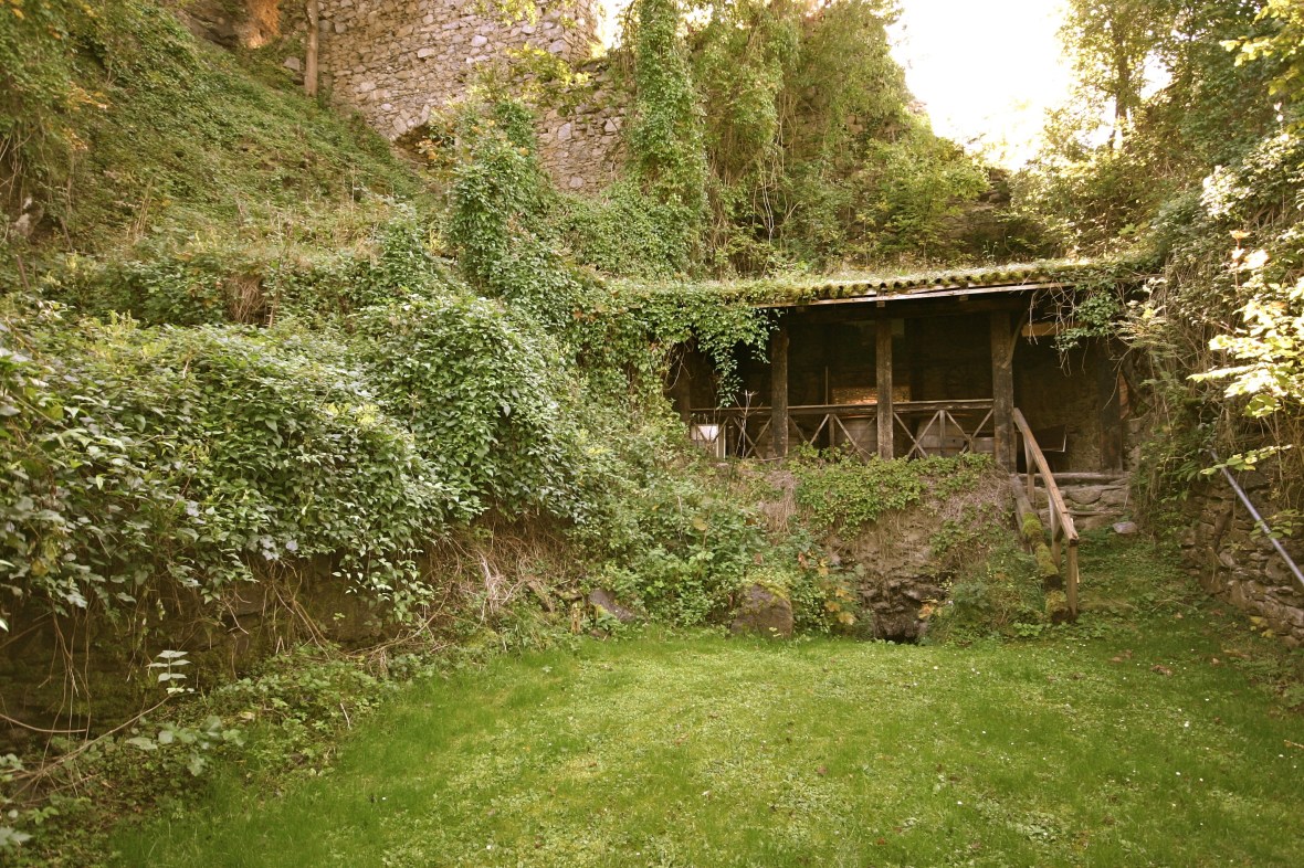 Das Kellergewölbe war vorher über eine betonierte Stufe begehbar. Jedoch war diese bereits sehr verwuchert, der Steinkeller sehr feucht, da die natürliche Belüftung durch die Verschüttung nicht funktioniert hat.